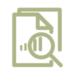 icon-plan-audits